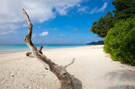 Andaman Islands Tour Packages & Andaman Nicobar Island Holiday Packages